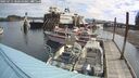 ./images/quadra/hbidock/20250711/hbidock20250711_100510M.jpg