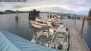 ./images/quadra/hbidock/20250711/hbidock20250711_172000M.jpg