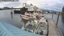 ./images/quadra/hbidock/20250711/hbidock20250711_174011M.jpg