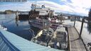 ./images/quadra/hbidock/20250713/hbidock20250713_090508M.jpg