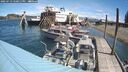./images/quadra/hbidock/20250713/hbidock20250713_120011M.jpg