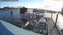 ./images/quadra/hbidock/20250714/hbidock20250714_071510M.jpg