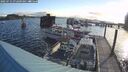 ./images/quadra/hbidock/20250714/hbidock20250714_072009M.jpg