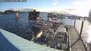 ./images/quadra/hbidock/20250714/hbidock20250714_072500M.jpg