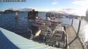 ./images/quadra/hbidock/20250714/hbidock20250714_072510M.jpg