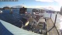 ./images/quadra/hbidock/20250714/hbidock20250714_073011M.jpg