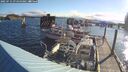 ./images/quadra/hbidock/20250714/hbidock20250714_074500M.jpg
