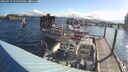 ./images/quadra/hbidock/20250714/hbidock20250714_080000M.jpg
