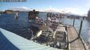 ./images/quadra/hbidock/20250714/hbidock20250714_080508M.jpg