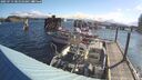 ./images/quadra/hbidock/20250714/hbidock20250714_081010M.jpg