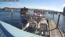 ./images/quadra/hbidock/20250714/hbidock20250714_084511M.jpg