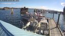 ./images/quadra/hbidock/20250714/hbidock20250714_090000M.jpg