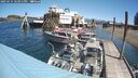 ./images/quadra/hbidock/20250714/hbidock20250714_123011M.jpg