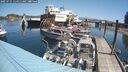 ./images/quadra/hbidock/20250715/hbidock20250715_114511M.jpg