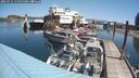 ./images/quadra/hbidock/20250715/hbidock20250715_115000M.jpg