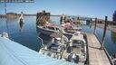./images/quadra/hbidock/20250715/hbidock20250715_121010M.jpg