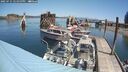 ./images/quadra/hbidock/20250715/hbidock20250715_122000M.jpg