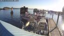 ./images/quadra/hbidock/20250716/hbidock20250716_074010M.jpg