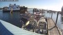 ./images/quadra/hbidock/20250716/hbidock20250716_080506M.jpg
