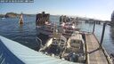 ./images/quadra/hbidock/20250716/hbidock20250716_083511M.jpg