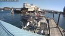 ./images/quadra/hbidock/20250716/hbidock20250716_100510M.jpg