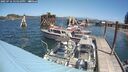 ./images/quadra/hbidock/20250716/hbidock20250716_125010M.jpg