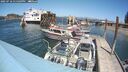 ./images/quadra/hbidock/20250716/hbidock20250716_135509M.jpg