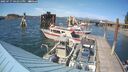 ./images/quadra/hbidock/20250717/hbidock20250717_161011M.jpg