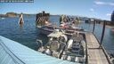 ./images/quadra/hbidock/20250718/hbidock20250718_104510M.jpg
