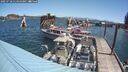 ./images/quadra/hbidock/20250718/hbidock20250718_114010M.jpg