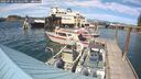 ./images/quadra/hbidock/20250718/hbidock20250718_155011M.jpg