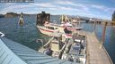 ./images/quadra/hbidock/20250718/hbidock20250718_162011M.jpg