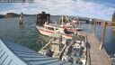 ./images/quadra/hbidock/20250718/hbidock20250718_173000M.jpg
