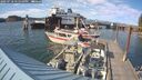./images/quadra/hbidock/20250718/hbidock20250718_175010M.jpg