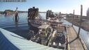 ./images/quadra/hbidock/20250719/hbidock20250719_075510M.jpg