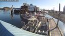 ./images/quadra/hbidock/20250719/hbidock20250719_080500M.jpg
