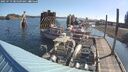 ./images/quadra/hbidock/20250719/hbidock20250719_085509M.jpg