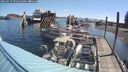./images/quadra/hbidock/20250719/hbidock20250719_095010M.jpg