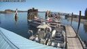 ./images/quadra/hbidock/20250719/hbidock20250719_103507M.jpg