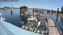 ./images/quadra/hbidock/20250719/hbidock20250719_105009M.jpg