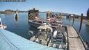 ./images/quadra/hbidock/20250719/hbidock20250719_112011M.jpg