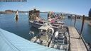 ./images/quadra/hbidock/20250719/hbidock20250719_114010M.jpg