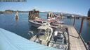 ./images/quadra/hbidock/20250719/hbidock20250719_123510M.jpg