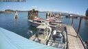 ./images/quadra/hbidock/20250719/hbidock20250719_124000M.jpg