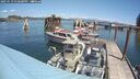 ./images/quadra/hbidock/20250719/hbidock20250719_130500M.jpg