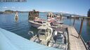 ./images/quadra/hbidock/20250719/hbidock20250719_131500M.jpg