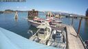 ./images/quadra/hbidock/20250719/hbidock20250719_133011M.jpg