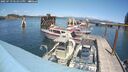 ./images/quadra/hbidock/20250719/hbidock20250719_141511M.jpg
