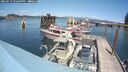 ./images/quadra/hbidock/20250719/hbidock20250719_142009M.jpg