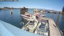 ./images/quadra/hbidock/20250719/hbidock20250719_143010M.jpg